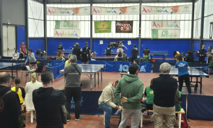 La Liga Provincial de Málaga sigue su curso